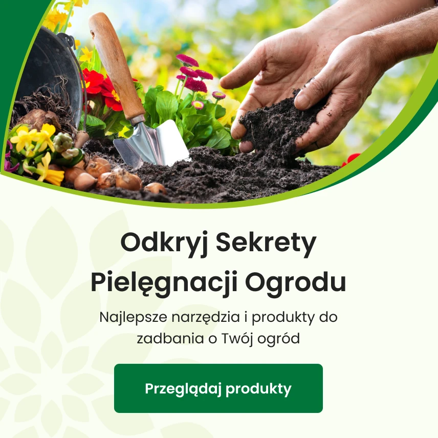 Odkryj Sekrety Pielęgnacji Ogrodu