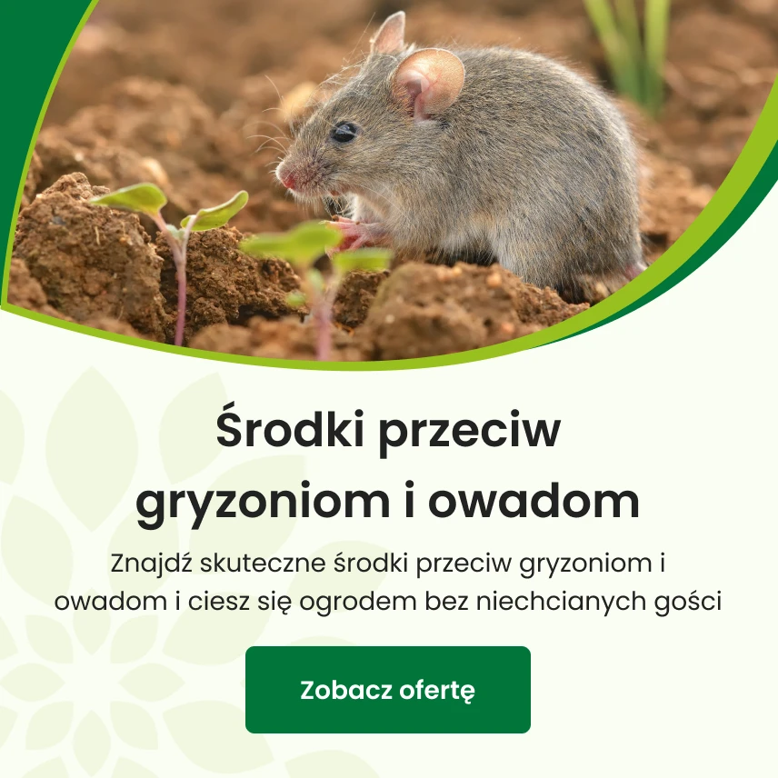 Środki przeciw gryzoniom i owadom