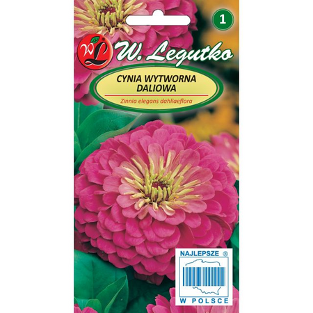 CYNIA DALIOWA RÓŻOWA ILLUMINATION  1G LEGUTKO