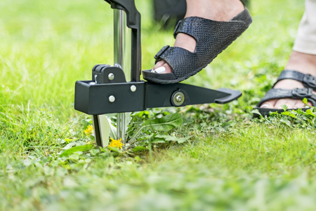 WYRYWACZ cellfast DO CHWASTÓW IDEAL