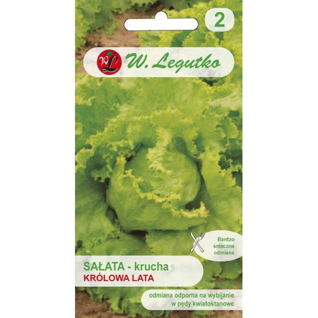 SAŁATA LODOWA KRÓLOWA LATA 1G LEGUTKO/WCZ/