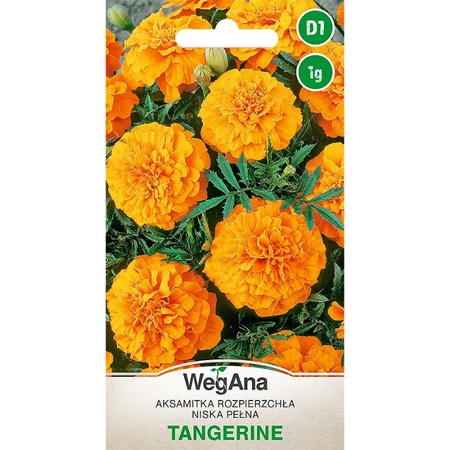 AKSAMITKA ROZP. NISK PEŁNA TANGERINE 1G WEGAN/400.