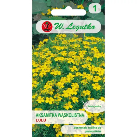 AKSAMITKA WĄSKOL. ŻÓŁTA LULU 0,3G LEGUTKO