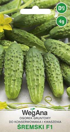 OGÓREK ŚREMSKI (MIESZ. F1) 4G WEGANA /KONS./300/.