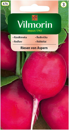 RZODKIEWKA RIESEN VON ASPERN 3G VILMORIN /OKR.CZE/