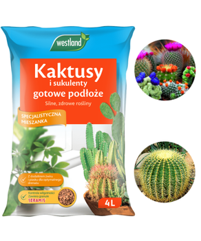 PODŁOŻE WESTLAND 4L KAKTUS /12/192/