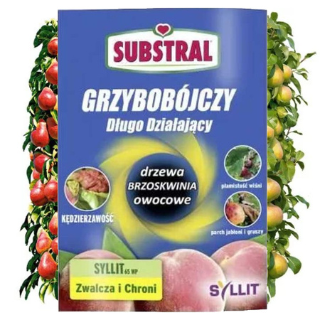 SGR SYLLIT 65 WP  5g SUBSTRAL /30/240