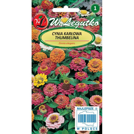CYNIA KARŁOWA THUMBELINA MIESZANKA 0,5G LEGUTKO