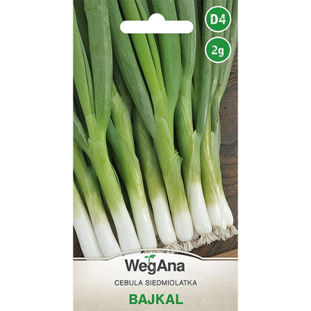 CEBULA SIED. BIAŁA BAJKAL 2G WEGANA ZIMUJĄCA/300/