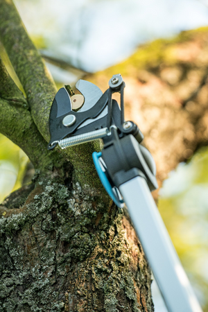 SEKATOR cellfast II-RĘCZ IDEAL z piłą na wysięg /6