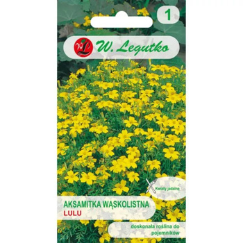 AKSAMITKA WĄSKOL. ŻÓŁTA LULU 0,3G LEGUTKO
