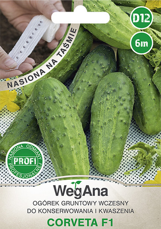 TAŚMA OGÓREK CORVETA F1 6M WEGANA /KONS.WCZES/