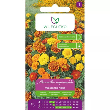 AKSAMITKA ROZP. PEŁ.  MIX 1G LEGUTKO
