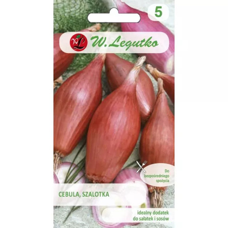 CEBULA SZALOTKA ZEBRUNE 3G/LEGUTKO