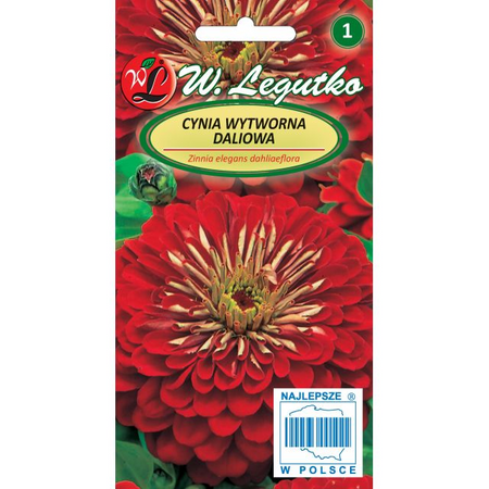 CYNIA DALIOWA CZERWONA SCARLET FLAME 1G LEGUTKO.