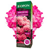 BIOPON MIKORYZA DO RODODENDRONÓW 250ml /6/