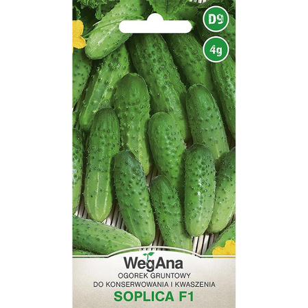 OGÓREK SOPLICA (M,F1) 4G WEGANA /KWASZ. ŚR.W/300/