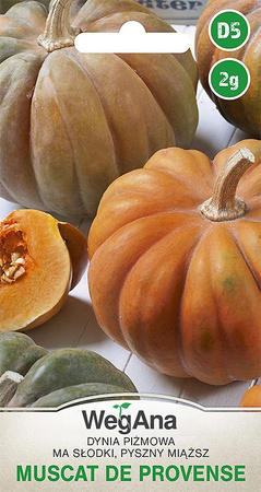 DYNIA PIŻMOWA MUSCAT DE PROVENSE 2G WEGANA/400/