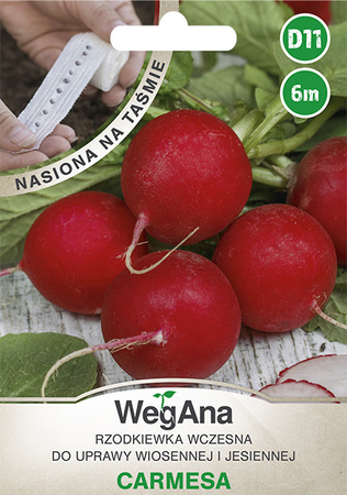 TAŚMA RZODKIEWKA CARMESA 6M WEGANA/OKR.CZERW. 