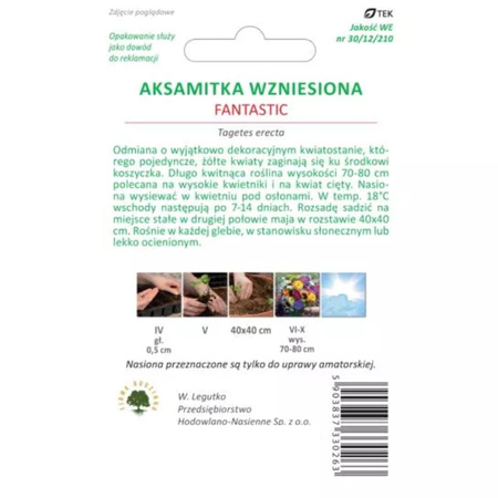 AKSAMITKA WZNIES. FANTASTIC ŻÓŁTA 0,3G LEGUTKO