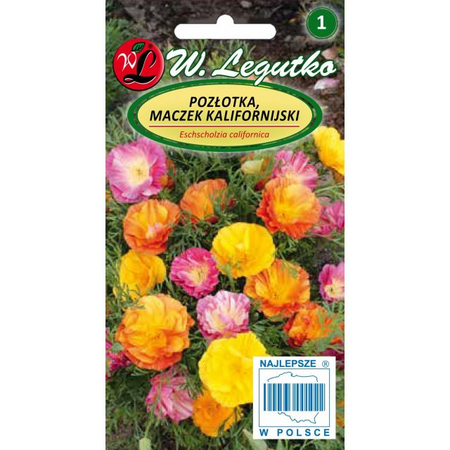 POZŁOTKA, MACZEK KALIFORNIJSKI MIESZ. 1G LEGUTKO