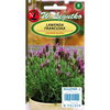 LAWENDA FRANCUSKA 0,03G LEGUTKO