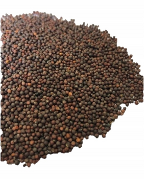 NR  RZEPA 0,25kg.