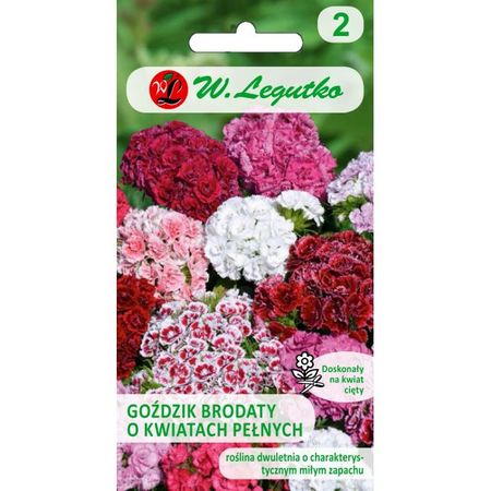 GOŹDZIK BROD. PEŁNY MIX 0,5G LEGUTKO