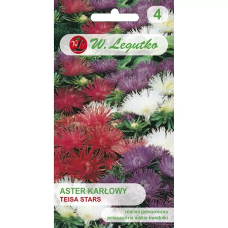 ASTER KARŁ. IGIEŁK. TEISA STARS MIX 0,5G LEGUTKO