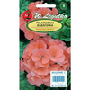 PELARGONIA RABAT.GAMA F1 ŁOSOSIOWA 0,05G LEGUTKO.