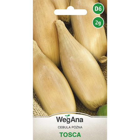 CEBULA TOSCA 2G WEGANA TYP EXHIBITION./300/