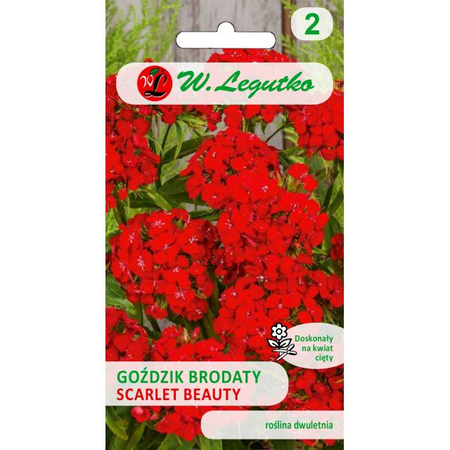 GOŹDZIK BROD. SCARLET BEAUTY 0,5G LEGUTKO/CZERW/