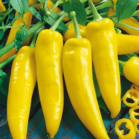 PAPRYKA HUNGARIAN YELLOW WAX HOT 0,15G LEGUTKO