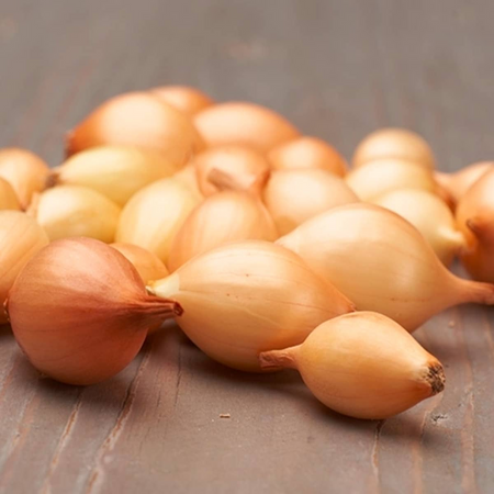 CEBULA  DYMKA B STURON 8-21 0,5kg /20/podł.