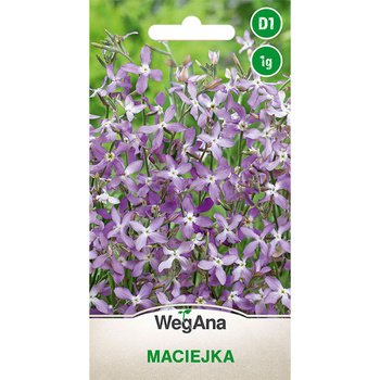 MACIEJKA 3G WEGANA. /400/