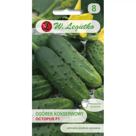 OGÓREK OCTOPUS 1,5G /KONS/ LEGUTKO.