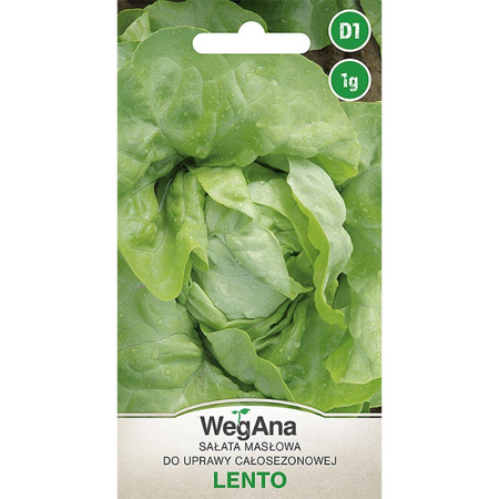 SAŁATA LENTO 1G WEGANA /MASŁCAŁOXSEZON/700