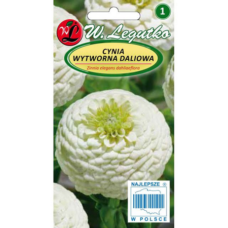 CYNIA DALIOWA BIAŁA POLAR BEAR 1G LEGUTKO