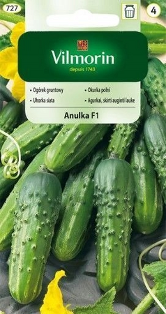 OGÓREK ANULKA MIESZ. 3G VILMORIN /ŚR.WCZES./