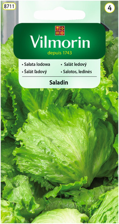 SAŁATA LODOWA SALADIN 0,2G VILMORIN /KRUCH/