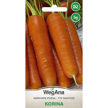 MARCHEW KORINA 5G WEGANA/300/