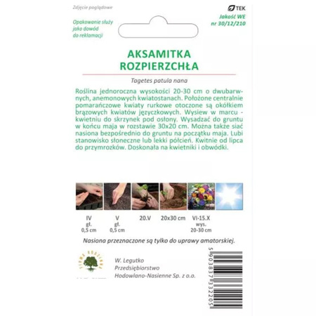 AKSAMITKA ROZP. PEŁ. ŻÓŁTA 1G LEGUTKO