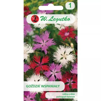 GOŹDZIK WSPANIAŁY MIX 0,2G LEGUTKO