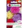 ASTER CHRYZANT.  MIX 1,25G LEGUTKO