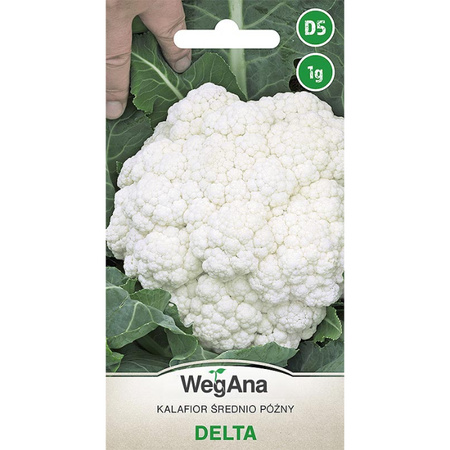 KALAFIOR DELTA 1G WEGANA /ŚREDNIOPÓŹNY