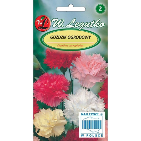 GOŹDZIK OGRODOWY GRENADIN MIESZ. 0,5G LEGUTKO