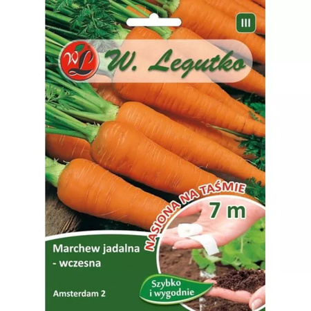 TAŚMA MARCHEW AMSTERDAM 2 7M LEGUTKO/WCZESNA/