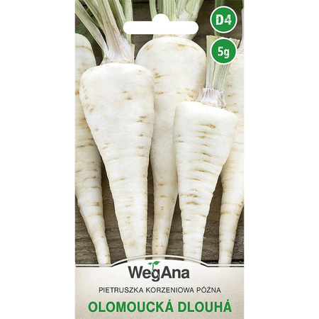 PIETRUSZKA OŁOMUŃCKA DLOUHA 5G WEGANA/PÓŹNA300