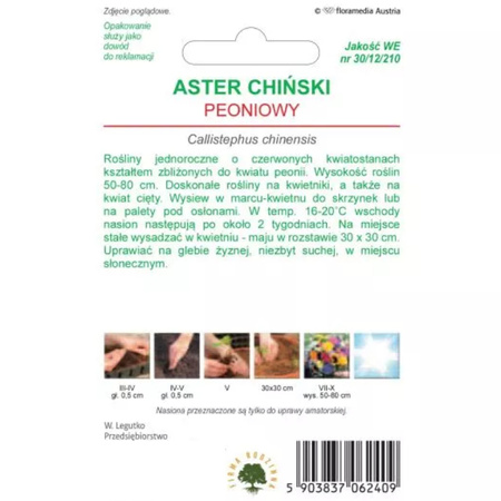 ASTER PEONIOWY CZERWONY 1G LEGUTKO