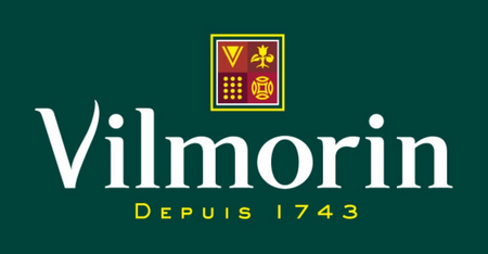 POMIDOR  OSŁ.PEDRO 0,1G VILMORIN (PÓŹNA)